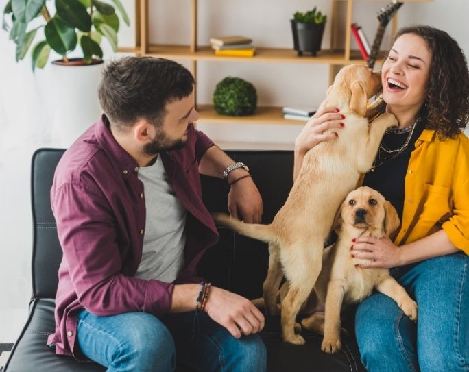 Finding the right pet sitter
